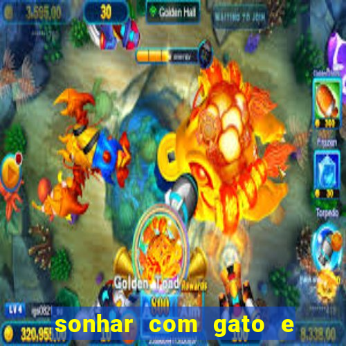 sonhar com gato e cachorro juntos jogo do bicho